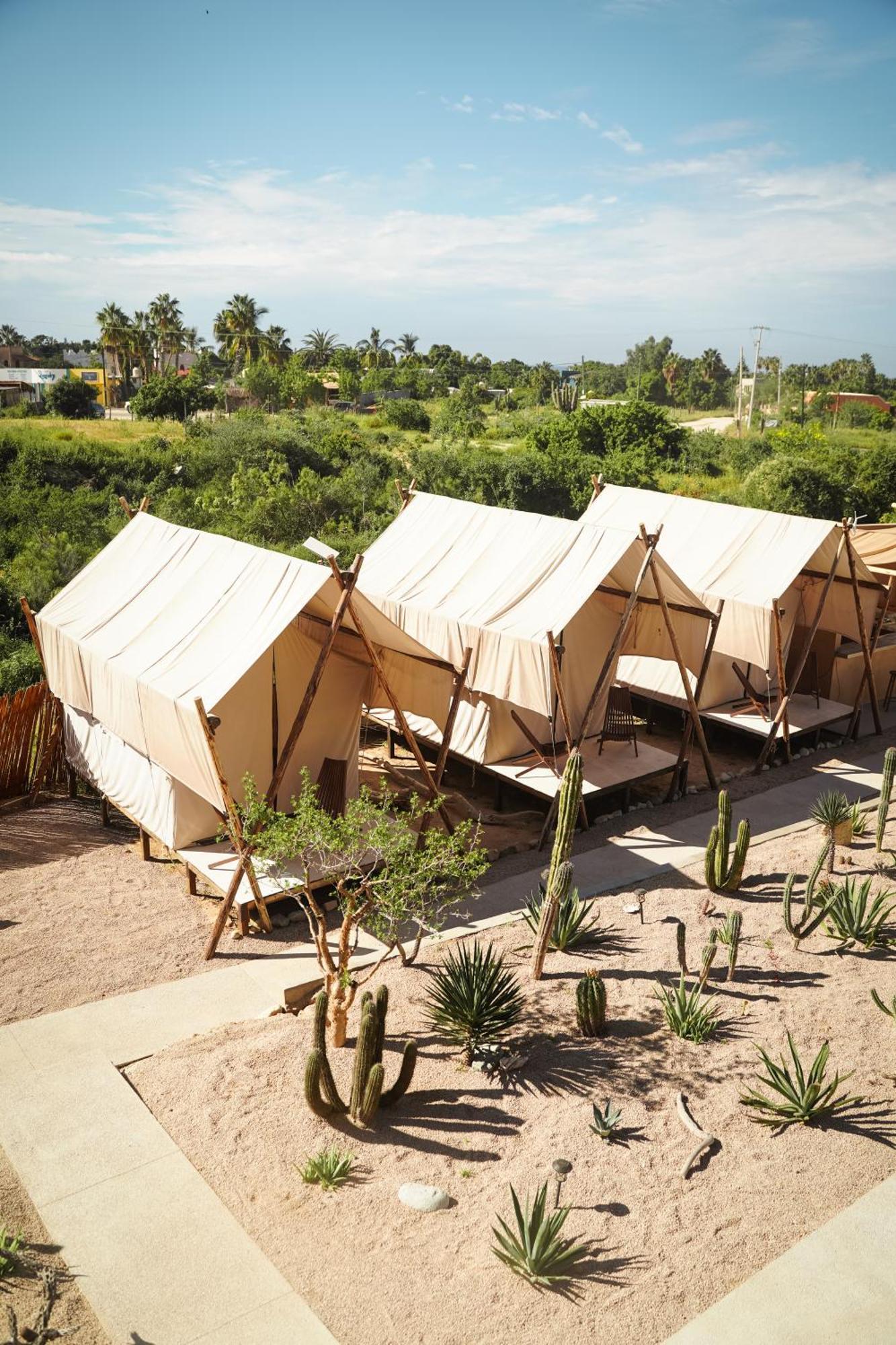 Hotel Baja Temple Todos Santos Pokój zdjęcie