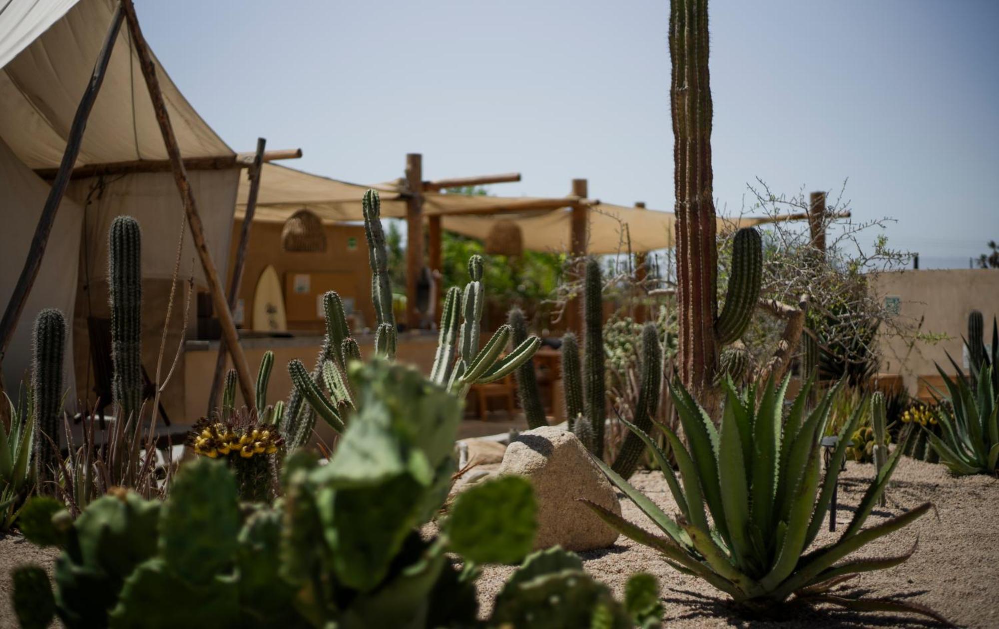 Hotel Baja Temple Todos Santos Zewnętrze zdjęcie